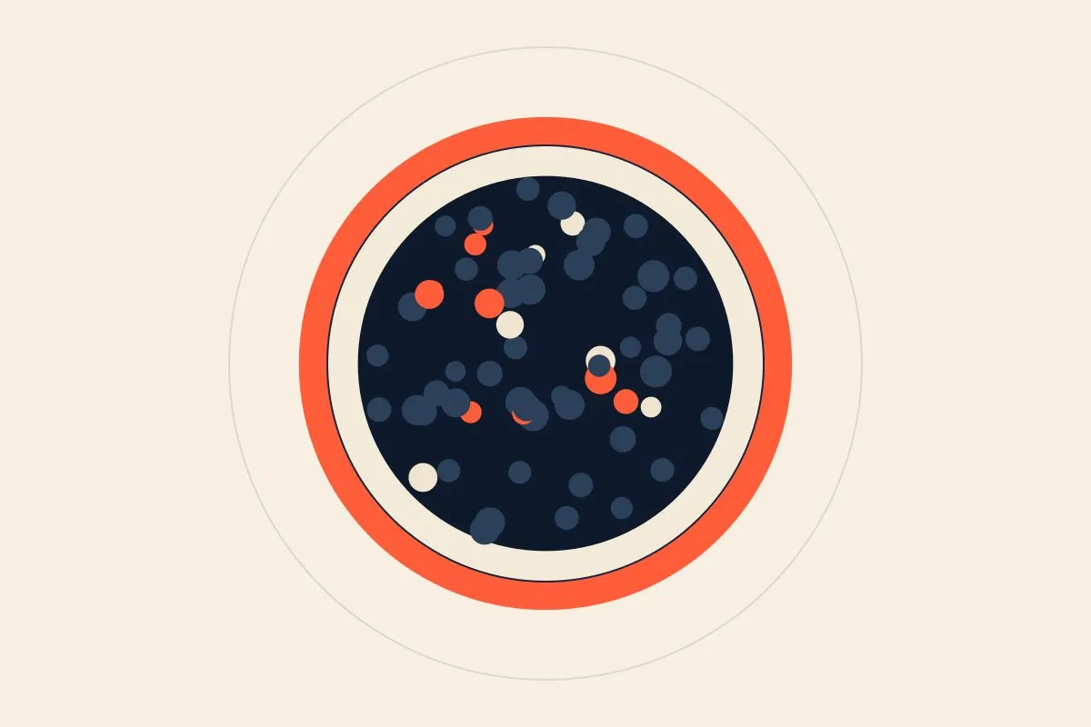 A spoonful of caviar on a weeknight dinner.