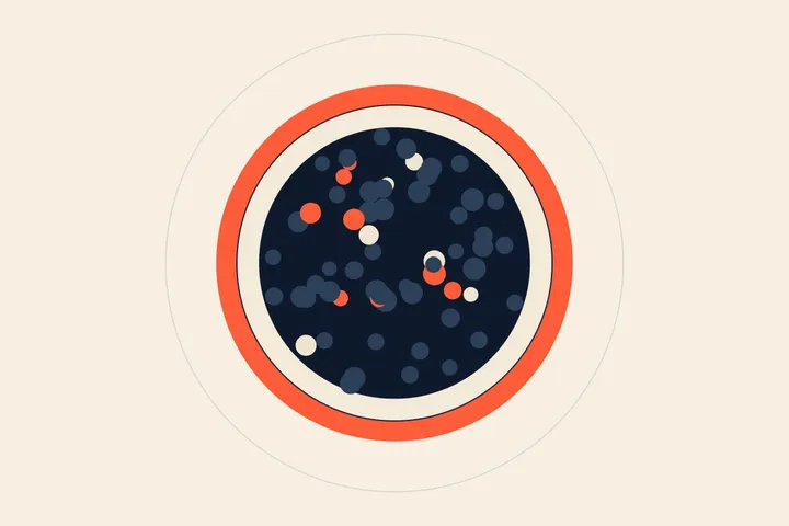 A spoonful of caviar on a weeknight dinner.